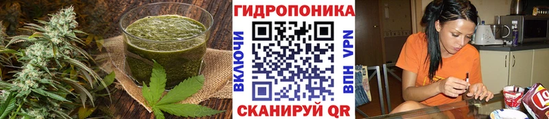 Cannafood конопля  darknet какой сайт  Кумертау 