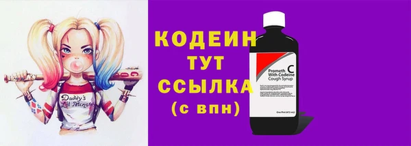 прущие грибы Приозерск